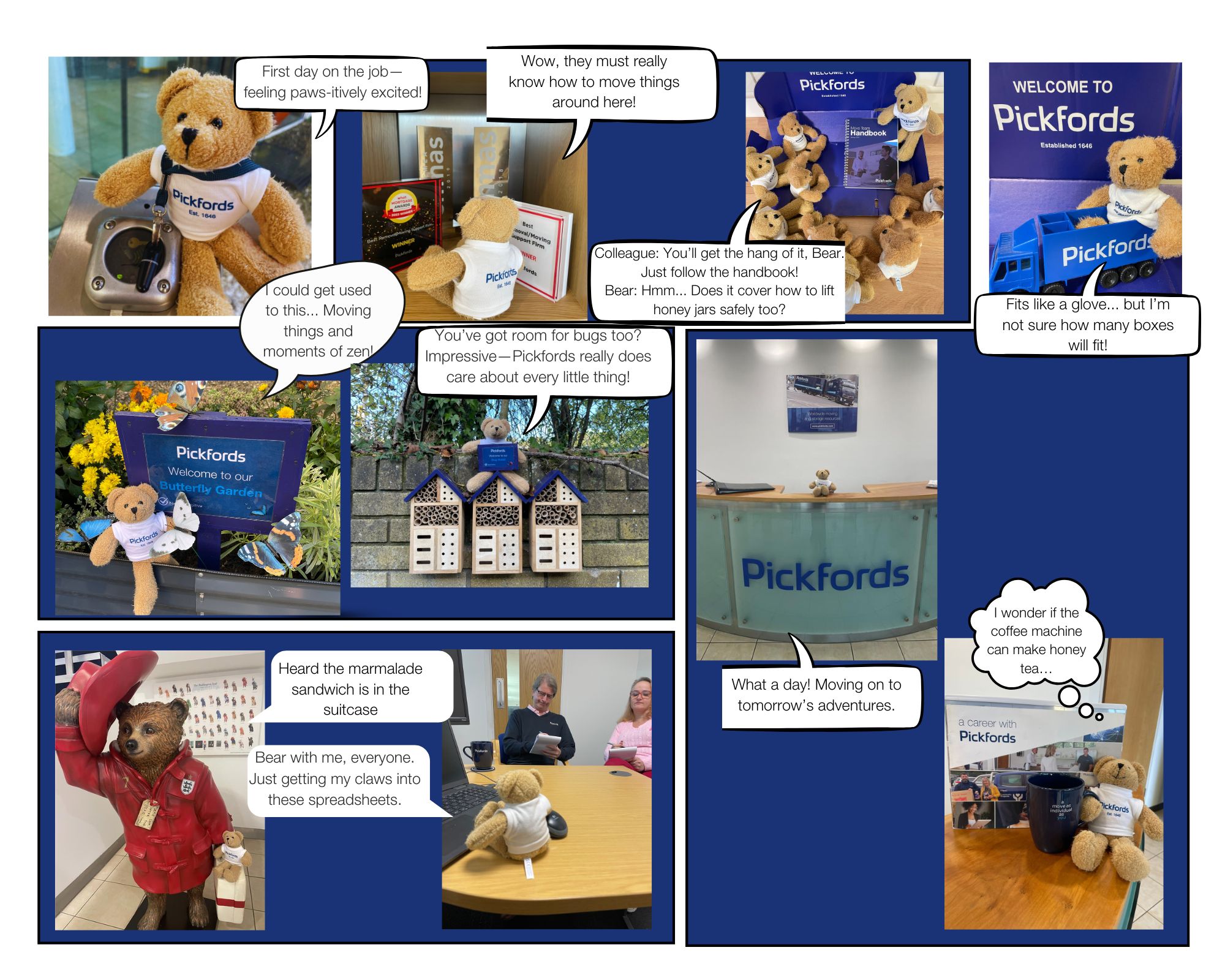 a pickford bear with a black hat on, in different locations with bright lights glistening in the background