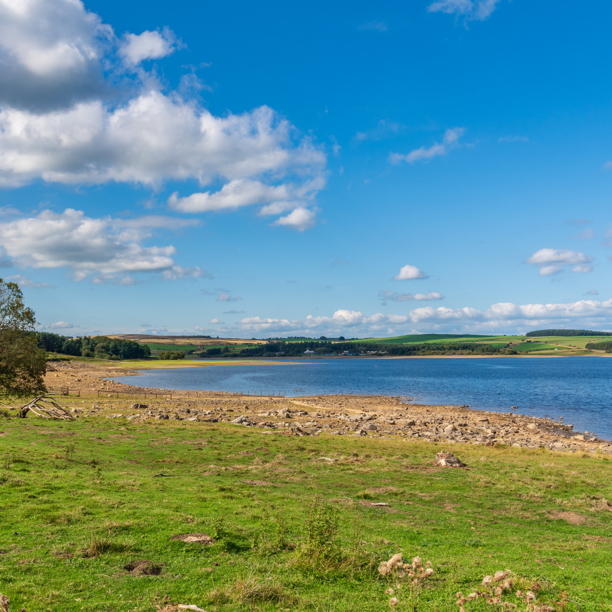 best areas to live in Hartlepool and things to do there