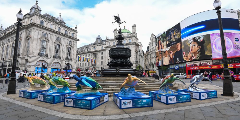 Pickfords Supports the Tusk Turtle Trail to Champion Marine Conservation