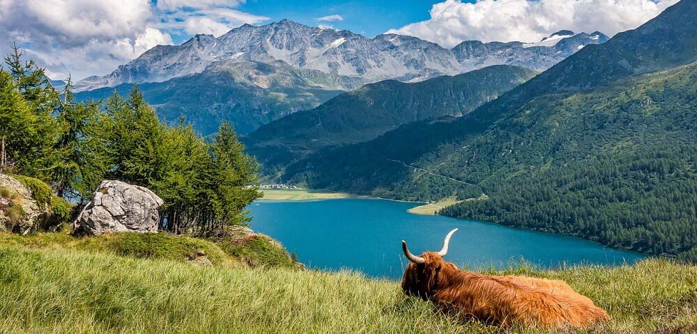 switzerland countryside