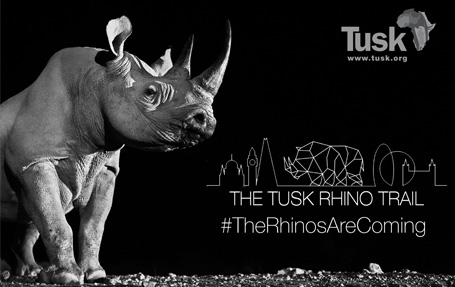 Tust Rhino Trail Artwork