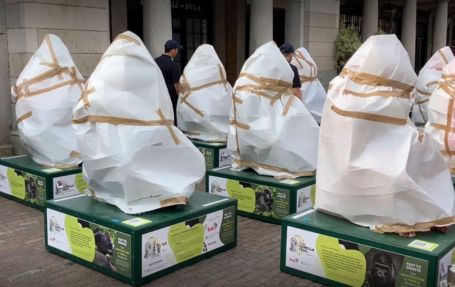 Pickfords delivering 15 life sized gorillas, professionally wrapped, to Convent Garden for the Tusk Trail